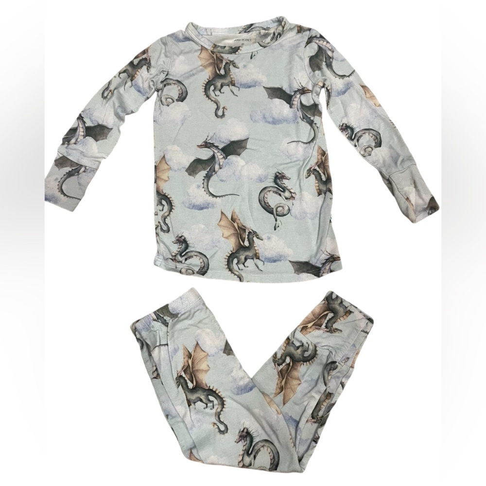 Posh Peanut pajama set in size 2T. Soft material with cute dragon designs.